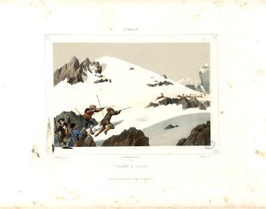 St. Sauveur - Chasse à l'izard (i.e. isard)