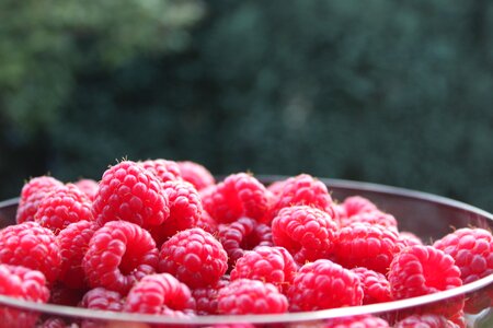 Berries background vitamins