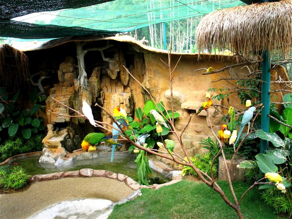 Part of parrots world in KL bird park