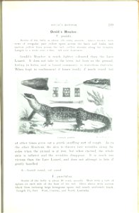 The animals of Australia : animals, reptiles and amphibians /