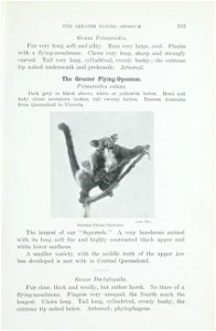 The animals of Australia : animals, reptiles and amphibians /