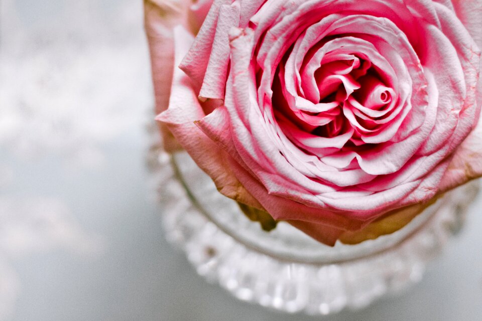 Greeting card flowers love
