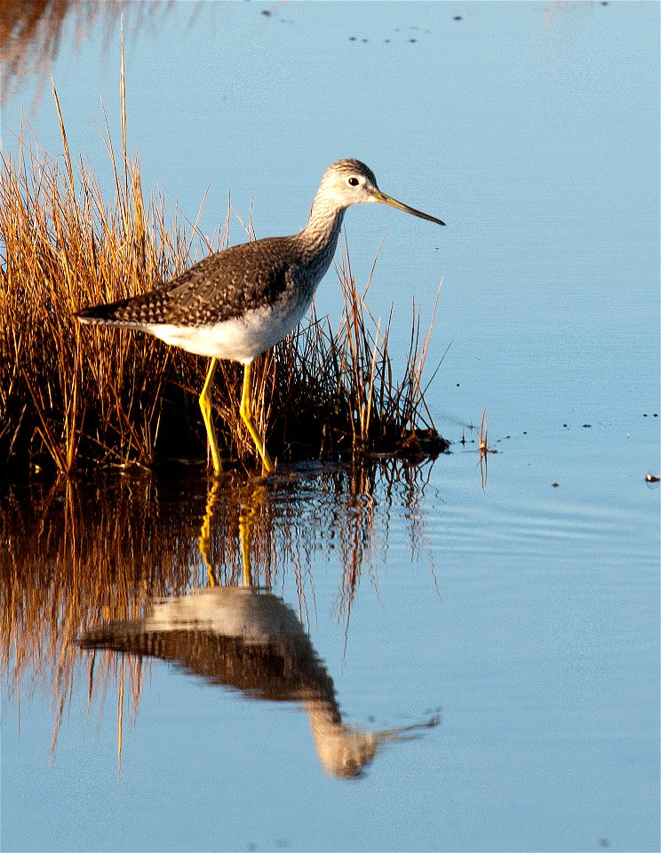 Parker River National Wildlife Refuge, MA. Credit: Matt Poole/USFWS