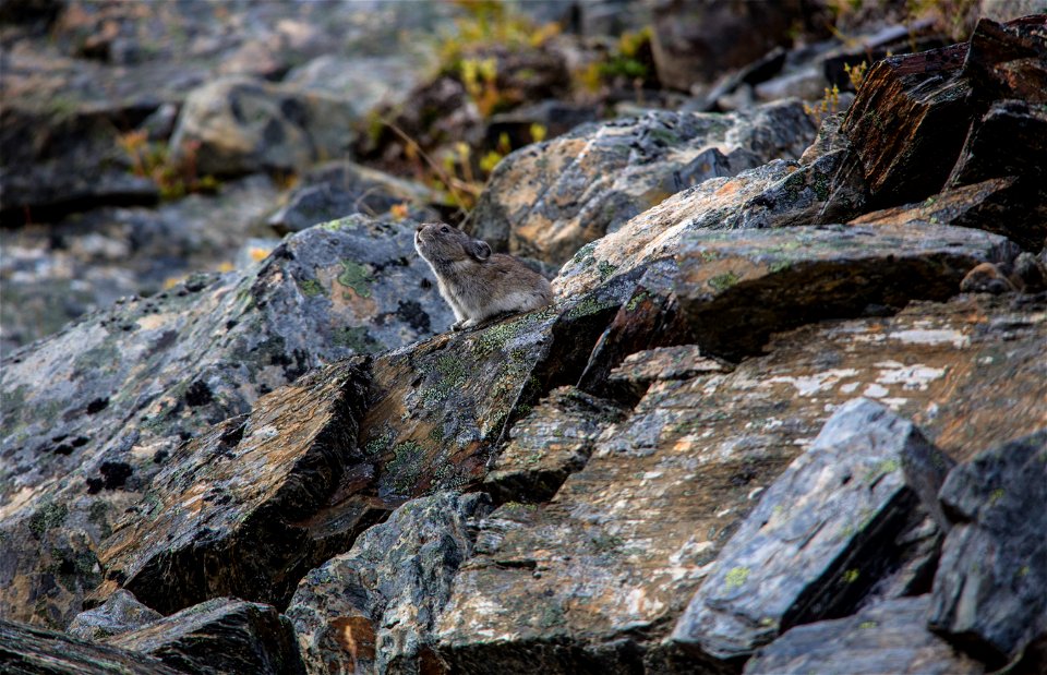 NPS / Jacob W. Frank