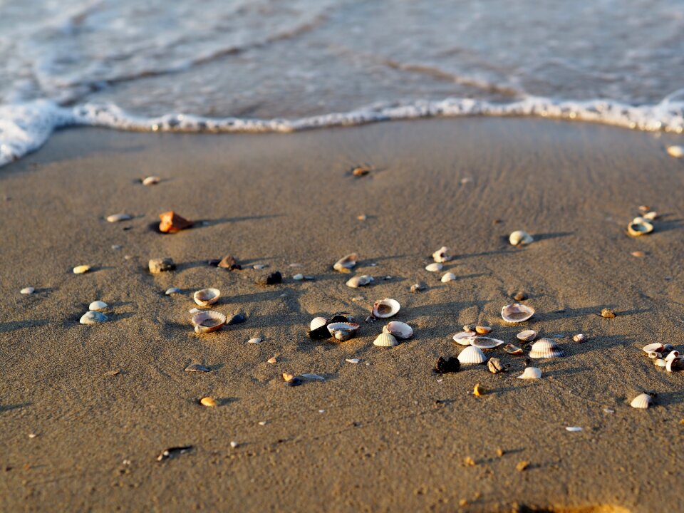 Collect water vacations