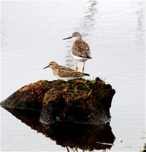 Photo credit: Ken Sturm/USFWS