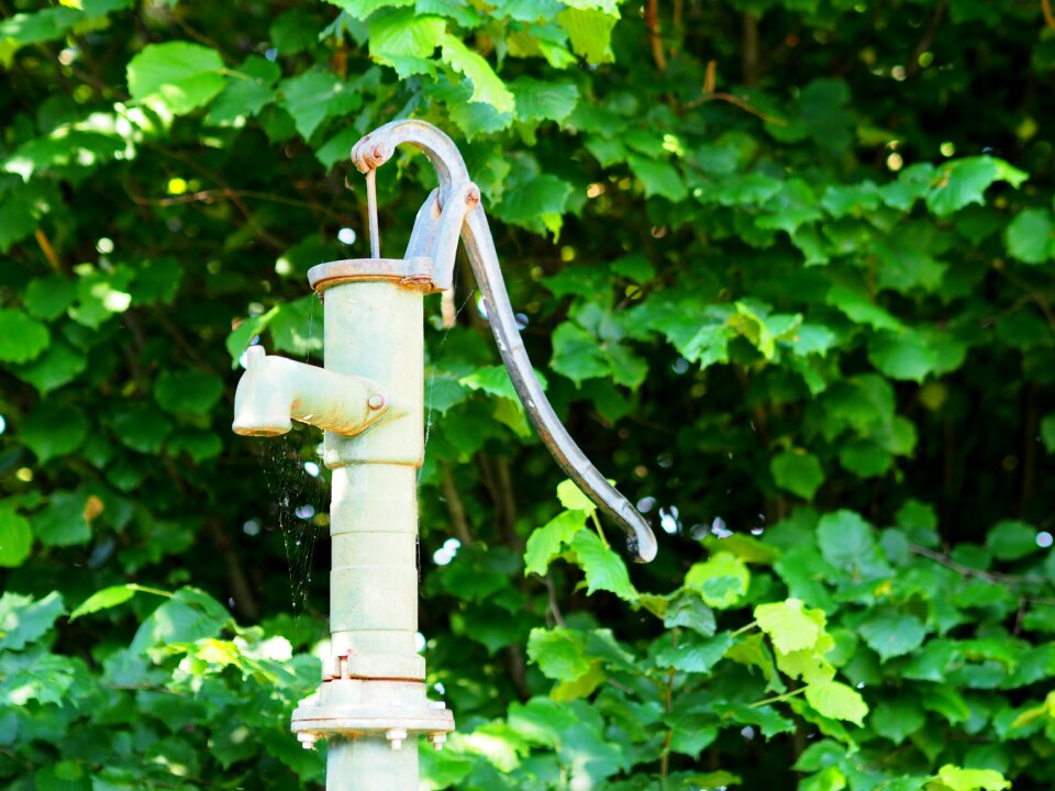 Water fountain gargoyle water pick