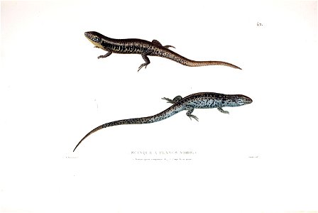 Voyage autour du monde :entrepris par ordre du roi ... exécuté sur les corvettes de S. M. l'Uranie et la Physicienne, pendant les années 1817, 1818, 1819 et 1820 ... /par M. Louis de Freycinet.