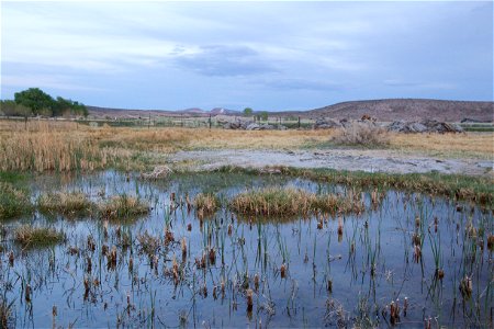 Partners for Fish and Wildlife Program.  Beatty, Nevada. Photo by Joe Milmoe / USFWS.