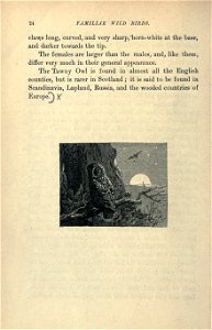 Familiar wild birds /  [illustrations by A. Thornburn and others].