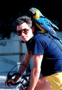 Brian Schumaker's pet macaw accompanies him on a bicycle ride. All Hands - May 1983 photo