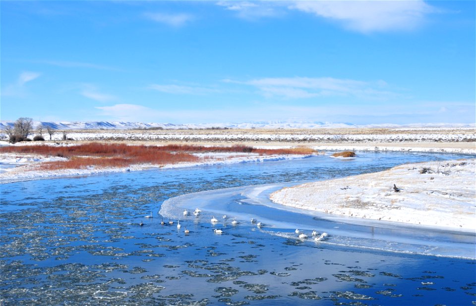 Photo: Tom Koerner/USFWS