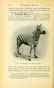 The origin and influence of the thoroughbred horse,