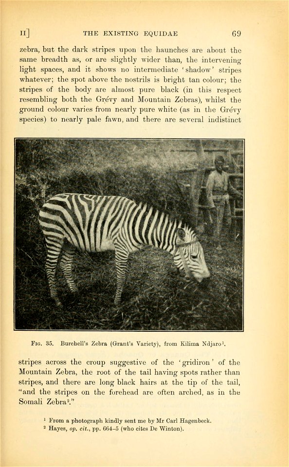 The origin and influence of the thoroughbred horse,