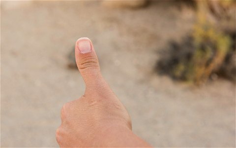 NPS / Hannah Schwalbe

An easy rule to remember and follow is the wildlife rule of thumb. If you hold your thumb straight out in front of you and you can't completely cover the animal you are viewing,