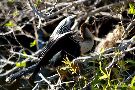 Photo: Leslie Velarde, NPS