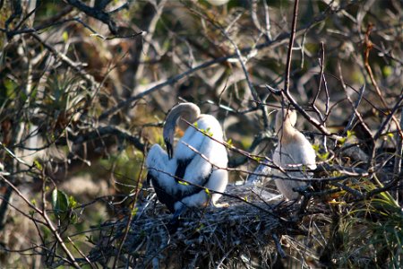 Photo: Leslie Velarde, NPS