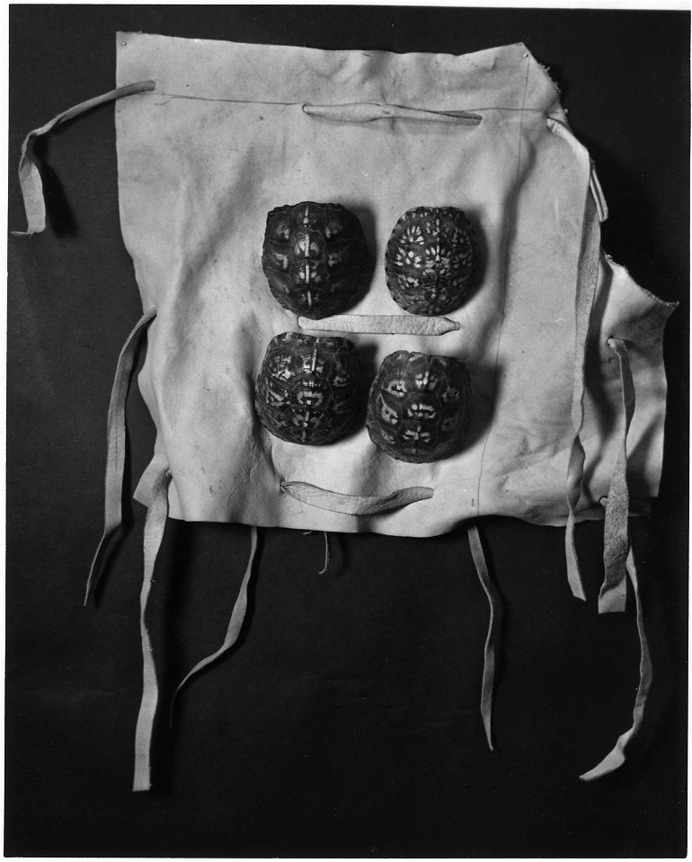 Terrapin Shell Leg Rattles Worn by Lead Woman Dancer, Oconaluftee Village, NC.
