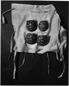 Terrapin Shell Leg Rattles Worn by Lead Woman Dancer, Oconaluftee Village, NC.