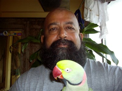 A 17 year old Alexandrine Parakeet named Mittoo and his handler, self-taught animal psychologist, Mr Rudolph A.Furtado; photographed in the house gallery in Mumbai on Wednesday 4-2-2009. photo