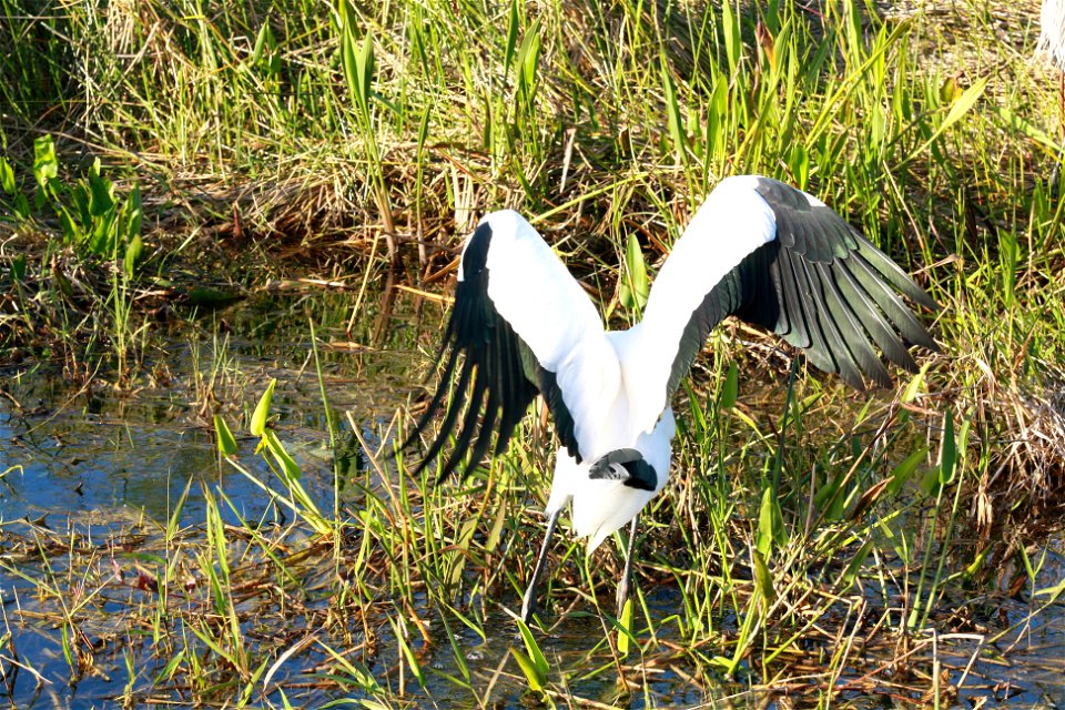Photo: Leslie Velarde, NPS