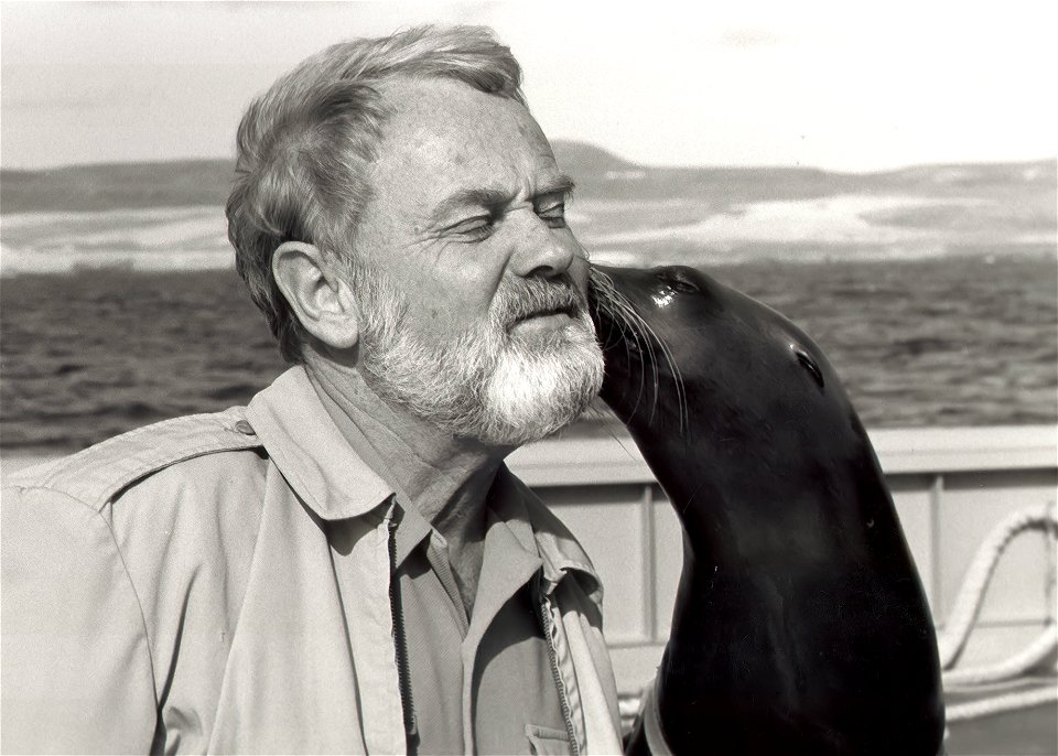 GiGi, a trained sea lion, nuzzles Capt. Arne Willehag of the USNS Sioux, a Military Sealift Command ocean tugboat in 1983. Gigi and other seals at the time of this photo were being trained to recover 