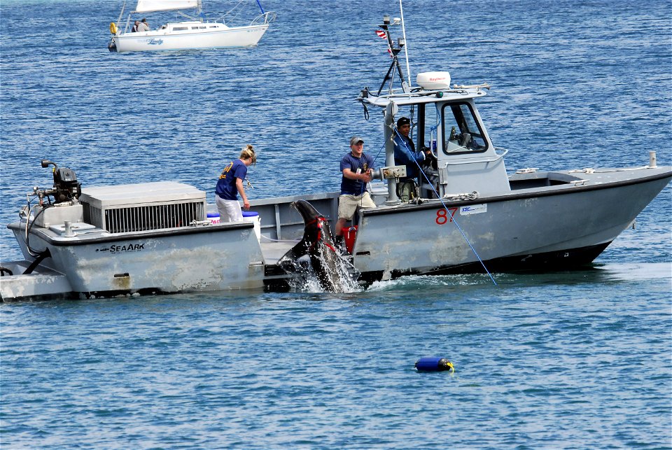 POINT LOMA, Calif. (April 12, 2007) - Marine mammal handlers give a demonstration of the Navy Marine Mammal Program. The Navy uses sea lions to mark and retrieve objects and to locate mines. U.S Navy 