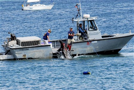 POINT LOMA, Calif. (April 12, 2007) - Marine mammal handlers give a demonstration of the Navy Marine Mammal Program. The Navy uses sea lions to mark and retrieve objects and to locate mines. U.S Navy 