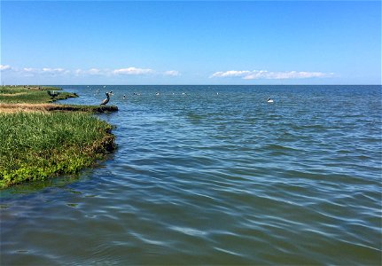 Cape Lookout National Seashore
