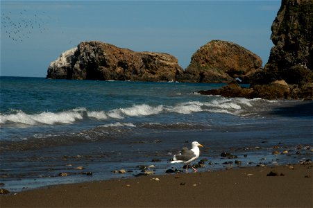 Beach of Santa Cruz Island — Channel Islands National Park, Santa Barbara County, California. photo