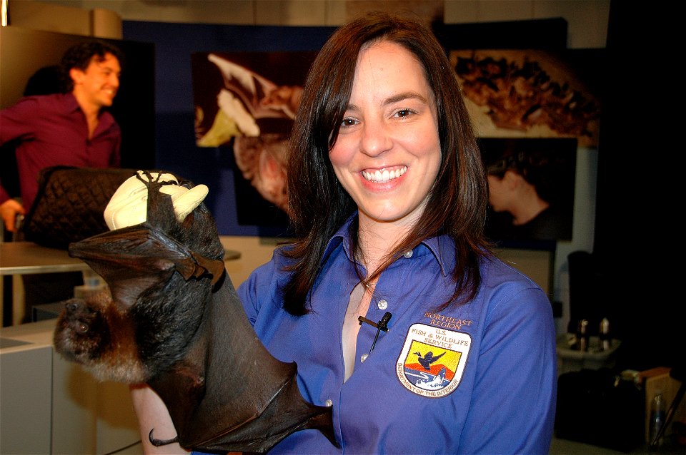 Ann Froschauer (USFWS) and a Rodrigues fruit bat, after the BatsLIVE! Distance Learning Adventure

photo credit: USFS/Sandy Frost