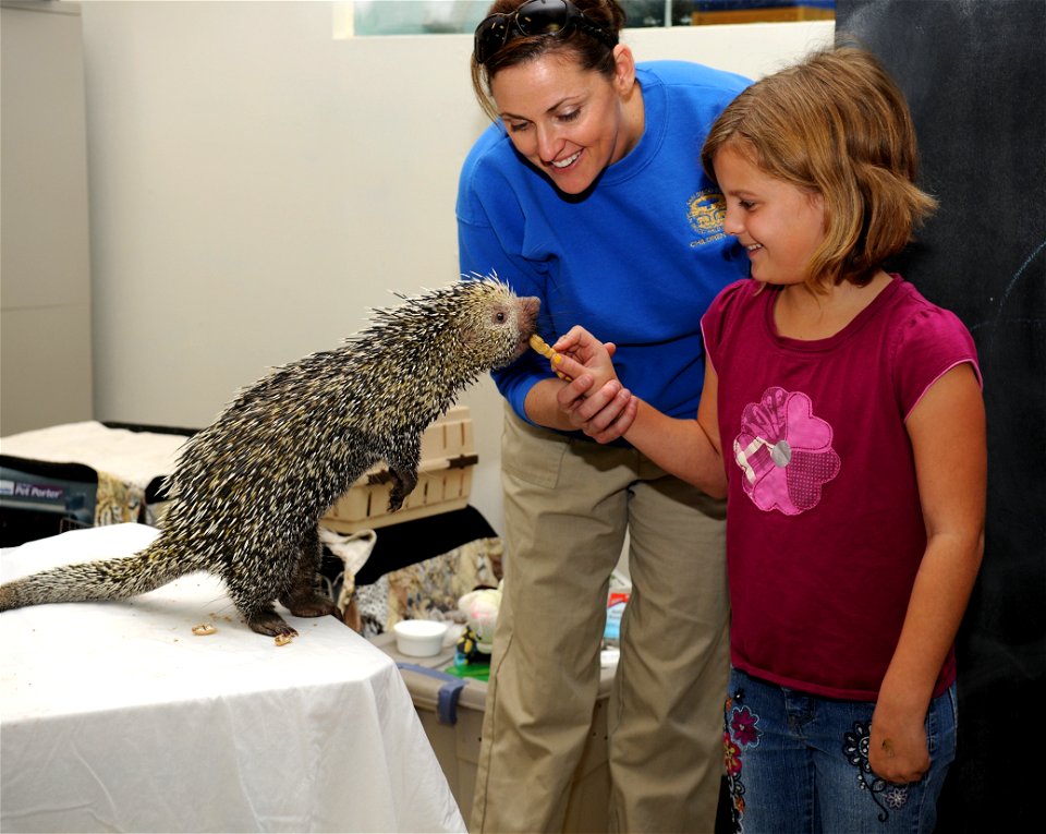 SAN DIEGO (Jan. 6, 2010) A patient in a pediatric inpatient unit at Naval Medical Center San Diego (NMCSD), gets help feeding a peanut to a 5-month-old female Brazilian porcupine from San Diego Zoo Se