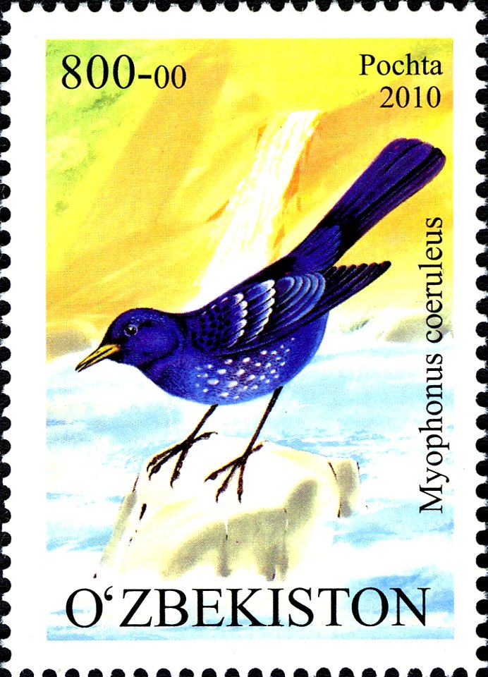 Stamps of Uzbekistan, 2010