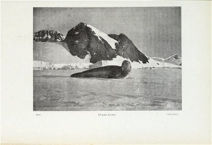 Le pourquoi-pas dans l'Antarctique : journal de la deuxieme expedition au Pole Sud, 1908-1910, suivi des rapports scientifiques des membres de letat-major preface de M. Paul Doumer.