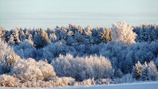 Cold nature landscape photo