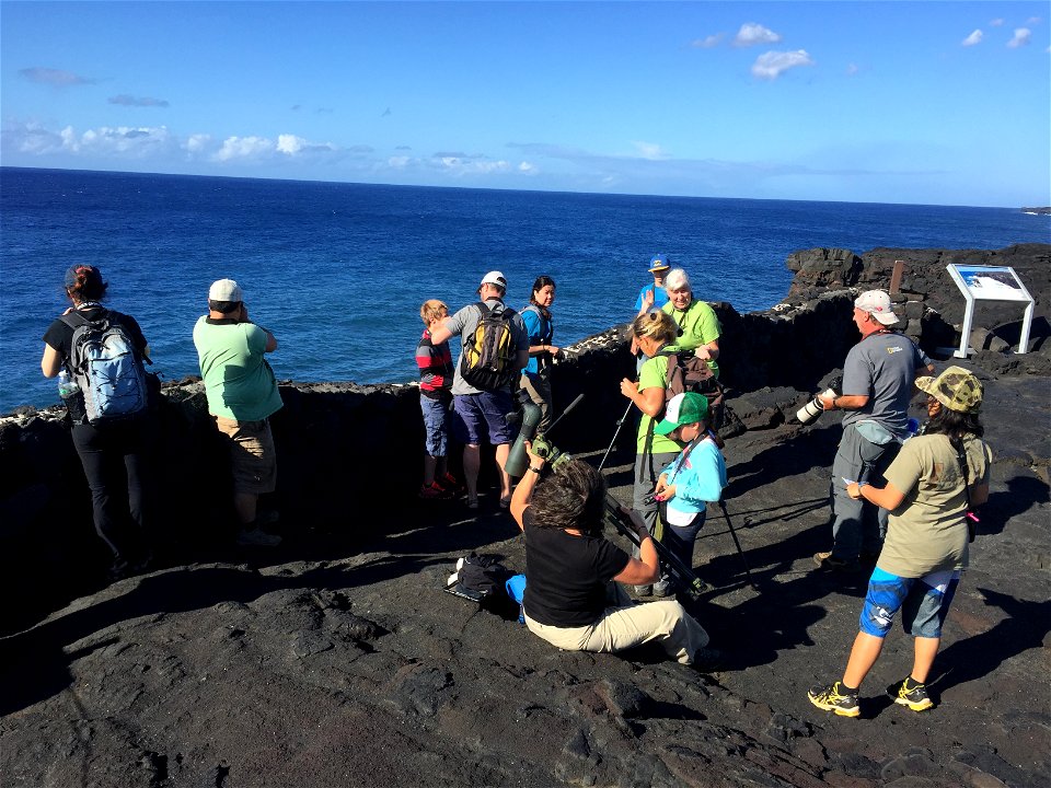 Students help identify black noddies during the BioBlitz 2015 coastal bird inventory. NPS Photo.