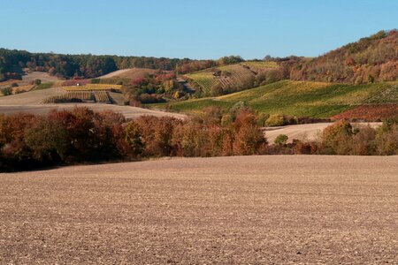 Agriculture harvest landscape photo