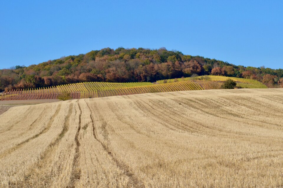Agriculture landscape harvest