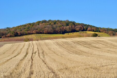 Agriculture landscape harvest photo