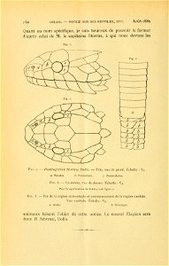 Bulletin du Musée royal d'histoire naturelle de Belgique = Mededeelingen van het Korinklijk Natuurhistorisch Museum van België