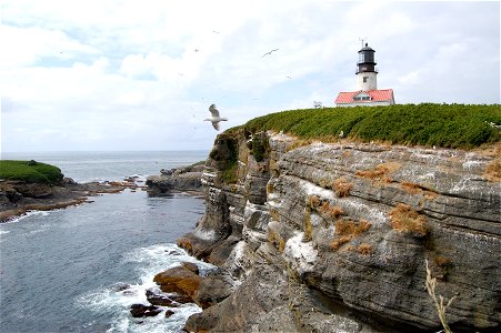 Seagulls flying over Tatoosh Island cliffs with the lighthouse in the background . Image ID: line7010, NOAA's America's Coastlines Collection Location: Washington, Tatoosh Island Photograp photo