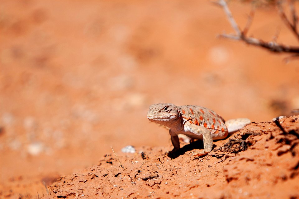 (NPS Photo by Andrew Kuhn)