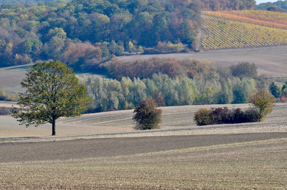 Landscape rural autumn
