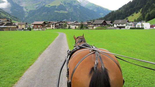 Horse riding mountain tourism