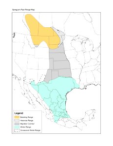 Range map of Sprague's Pipit Anthus spragueii in North America. photo
