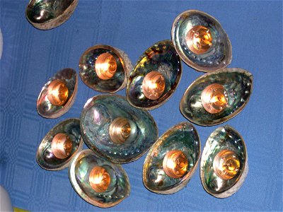 Image title: Tea lights in paua shells Image from Public domain images website, http://www.public-domain-image.com/full-image/miscellaneous-public-domain-images-pictures/tea-lights-in-paua-shells.jpg. photo