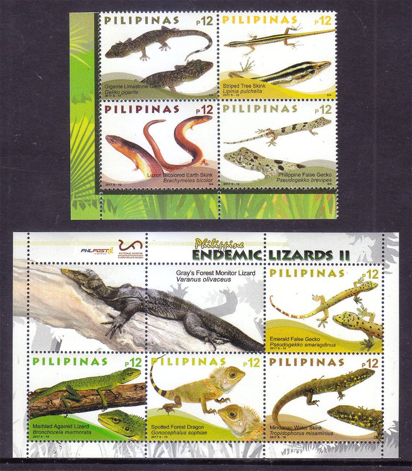 Endemic Lizards of the Philippines