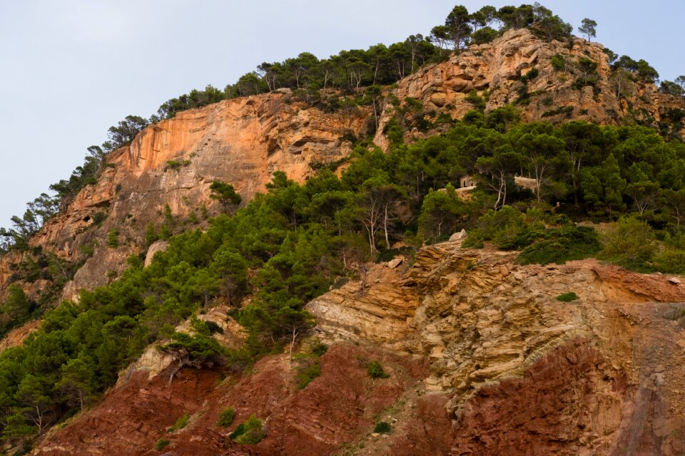 Landscape tree spain