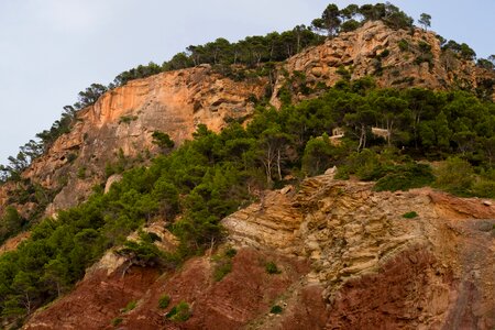 Landscape tree spain