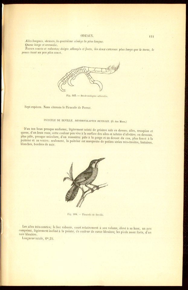 Adres wydawniczy: Paris : Marescq : G. Havard, [1852]Współtwórcy: Des Murs, Oeillet OpracOpis fizyczny: [8], 312 s., 40 k. tabl. : il. ; 26 cm